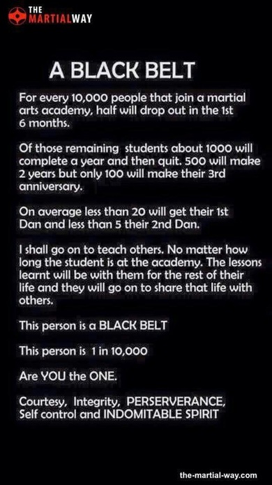 A Black Belt 5 